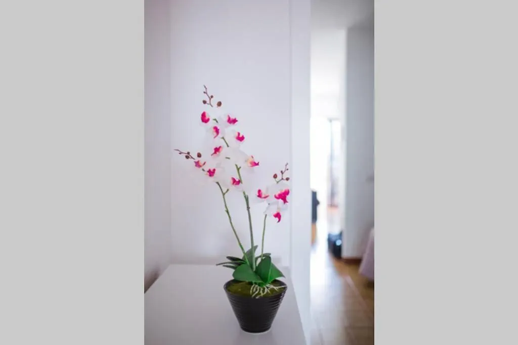 Appartement Primavera à Arona  Espagne